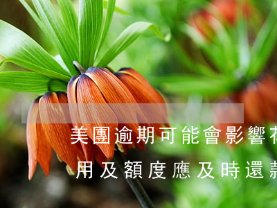 美團逾期可能會影響花唄、信用卡使用及額度，應及時還款避免影響信用記錄。